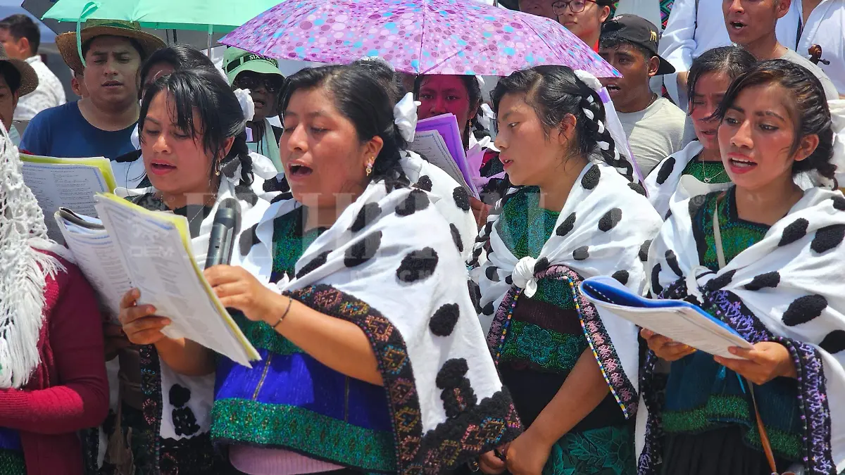 Lenguas indigenas proyectos